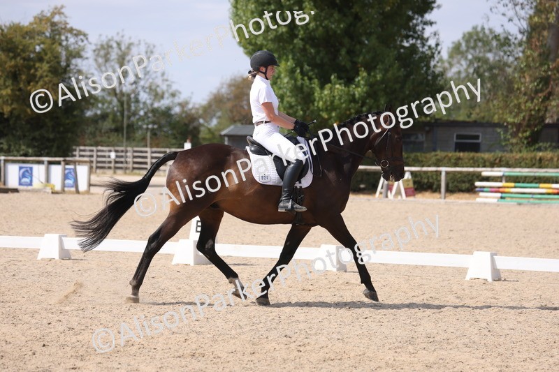 20260815-1042 - Class 6 - Novice 2
