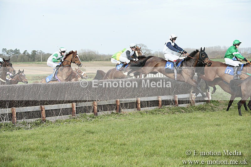PtP 230319 426 - VWH Hunt Siddington Point-to-Point Racing 23/03/19