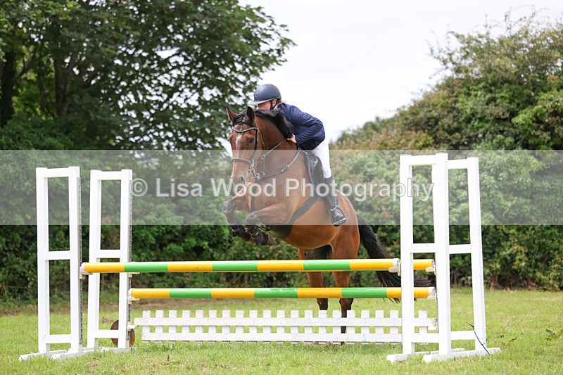 3E7A7374 - Class 5: Senior British Novice/90cm open