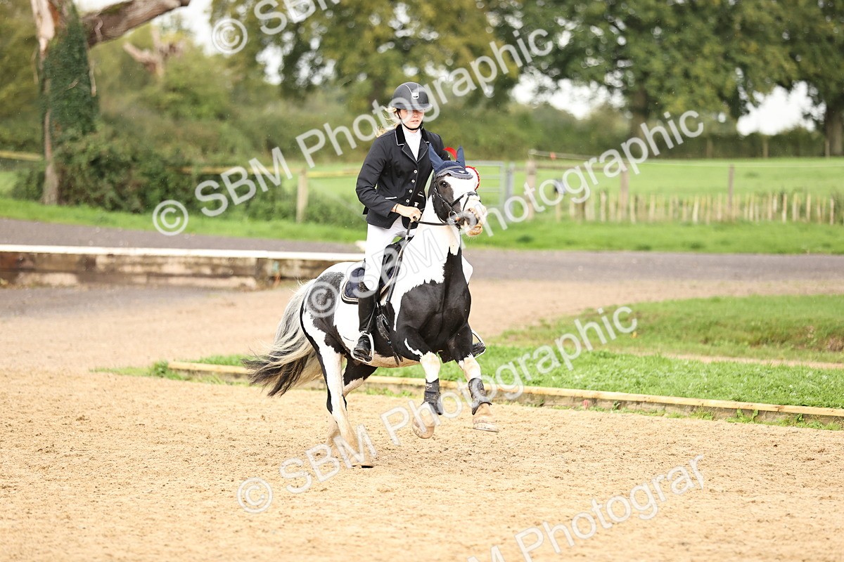 SBM_42071 - J40 Senior Horse & Pony 90cm Supreme Championship