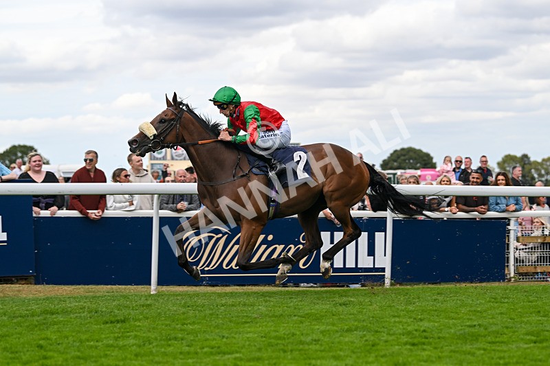 300825-Race 5-High On Hope-1496 - Race 5