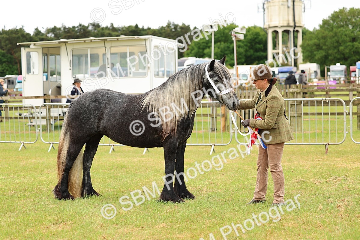 SBM_00618 - Class 58-67 - M&M Non Welsh Pony In hand