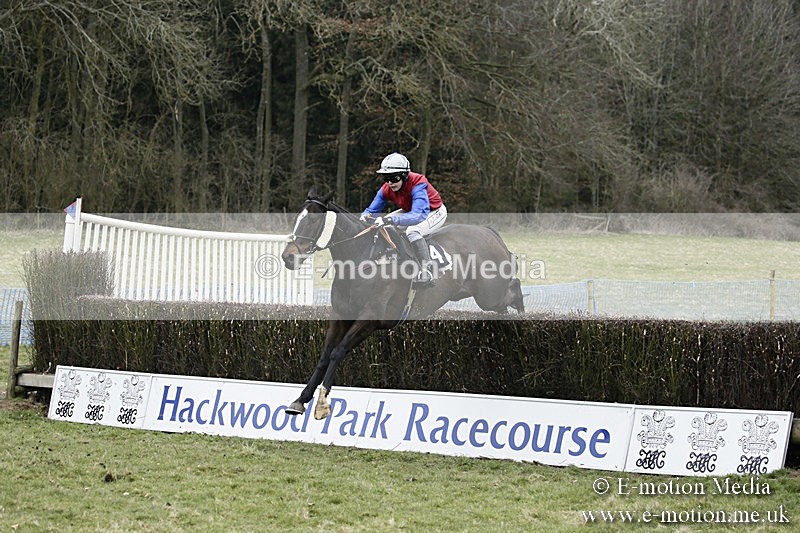 PtP 110318 159 - Hampshire Hunt Point-to-Point Hackwood Park 11/03/18