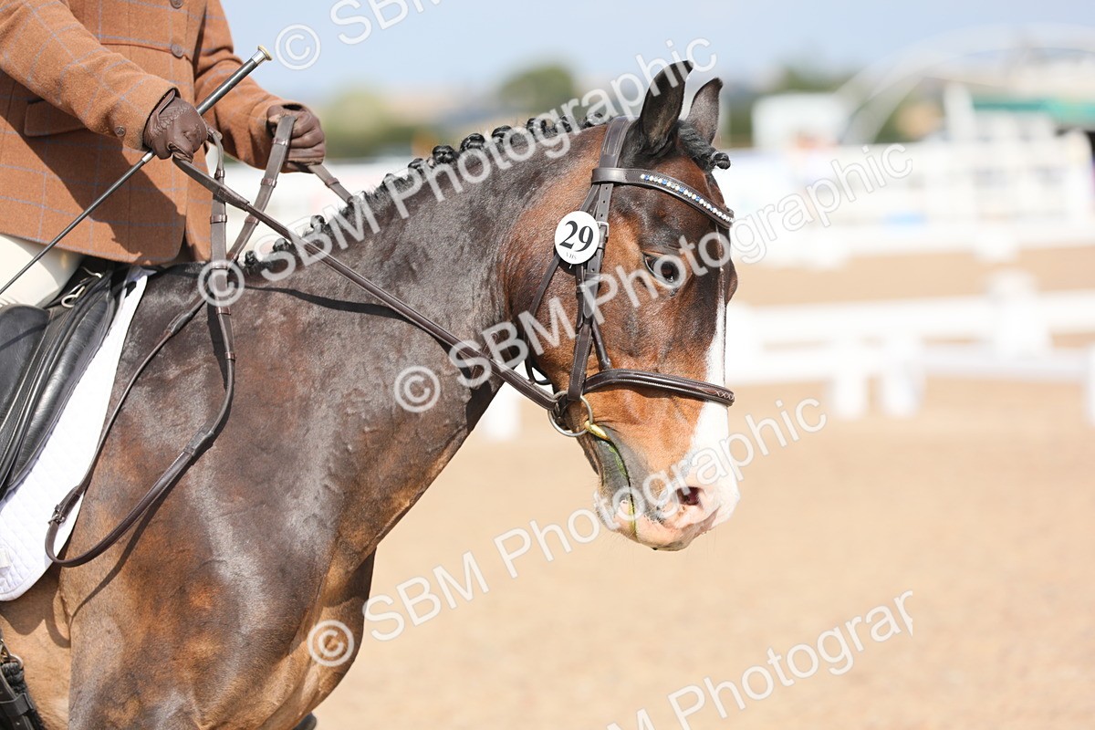 SBM_07511 - Class 33 Elementary 1