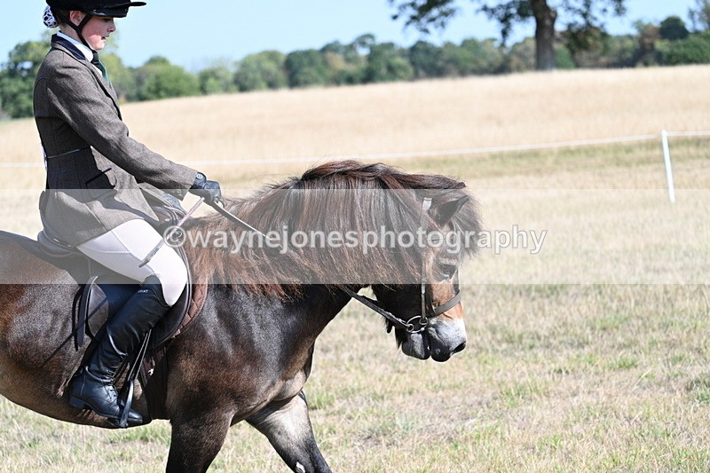 WJ7_2939 - Class 8 Ridden Tack & Turnout