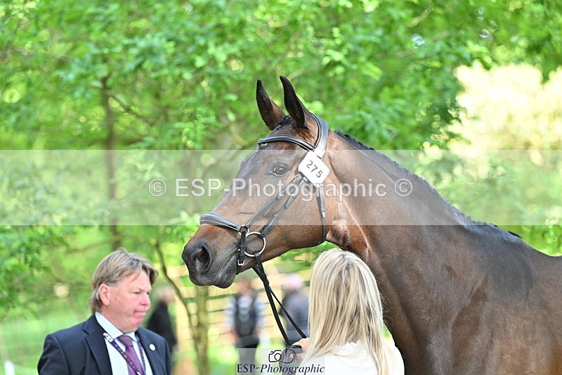 250521A-165747-01436 - C-275-Kat.Raybould-ROYAL.CATCH