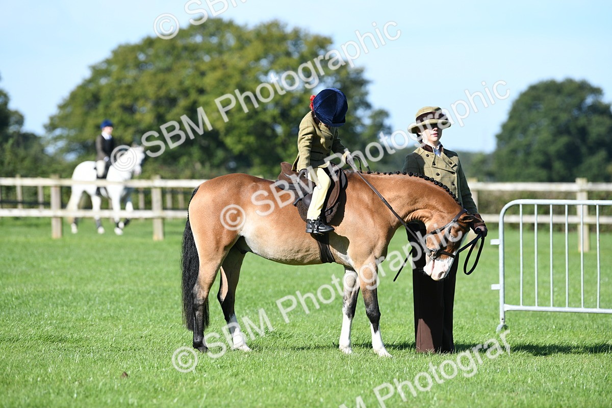 SBM_36755 - S18 - Novice & Newcomers Lead Rein Pony