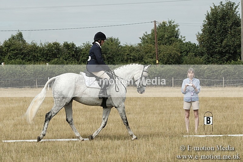_PJP5651 - Dressage Classes BVRC Show 2018