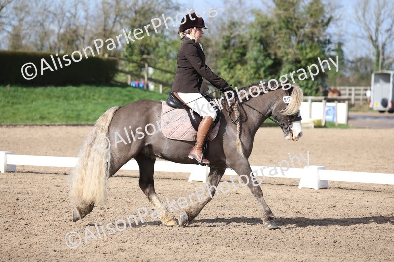 20260228-0397 - Class 4 - Prelim 2