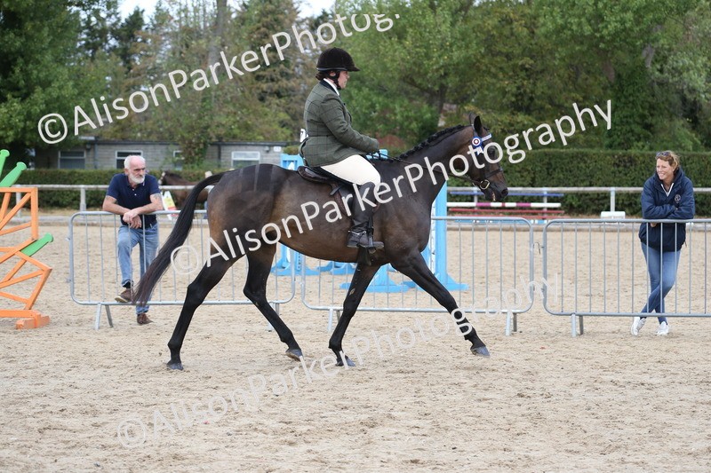 20260831-2596 - Class 15 - Ridden Retraining of Racehorses