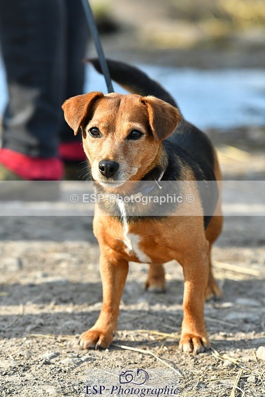 230817-083624-02429 - Stable Shots