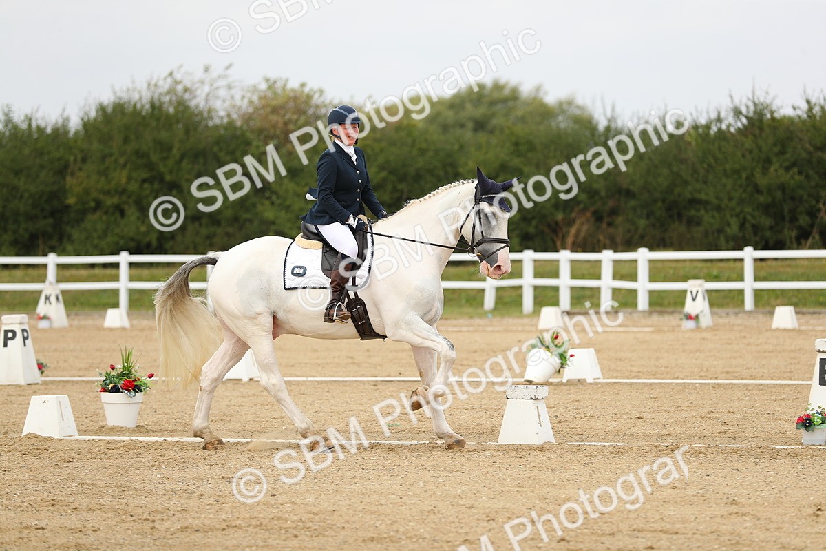 SBM_017631 - Class 13 - Novice 23 - 14.27-15.16