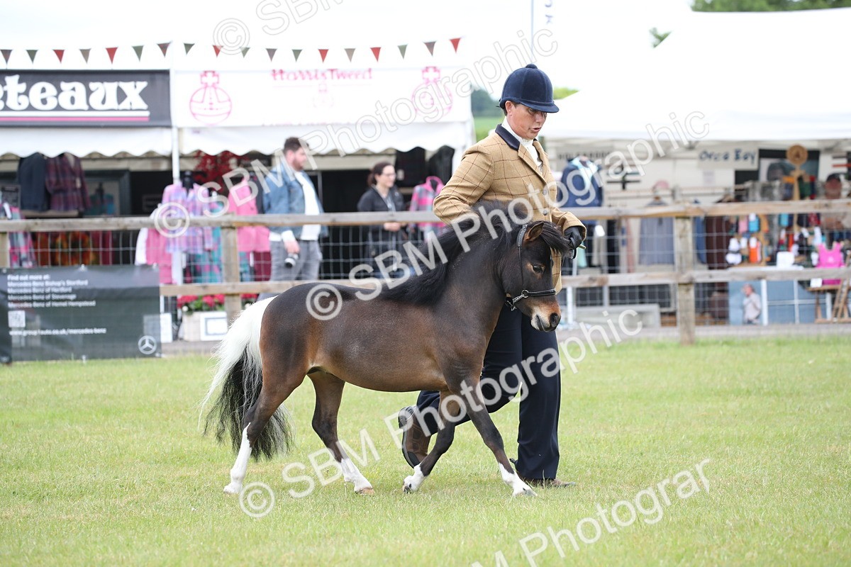 SBM_03729 - Class 23-25 - British Miniature Horse of the Year