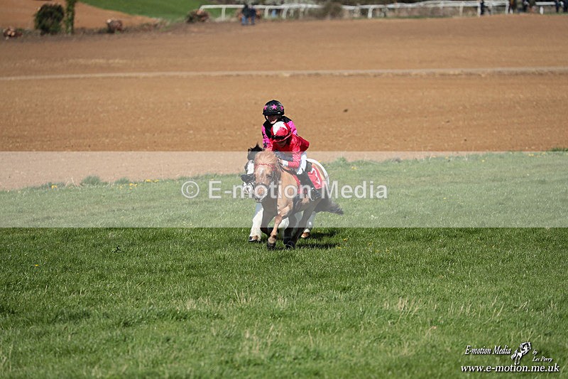 Shet 060426 152 - Shetland Pony Racing Paxford Races Easter Mon 06/04/26