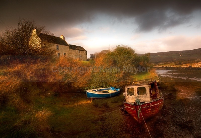 Ór na hÉireann - 2008