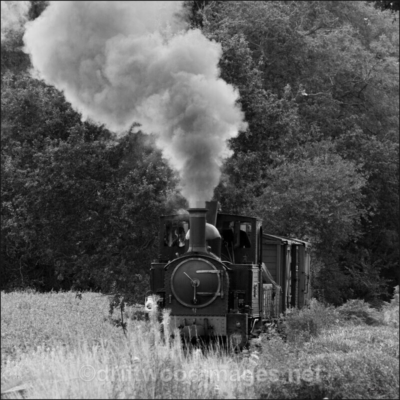 WLLR The Earl with goods wagons approaches Cyfronydd Station bw - The Welshpool & Llanfair Light Railway