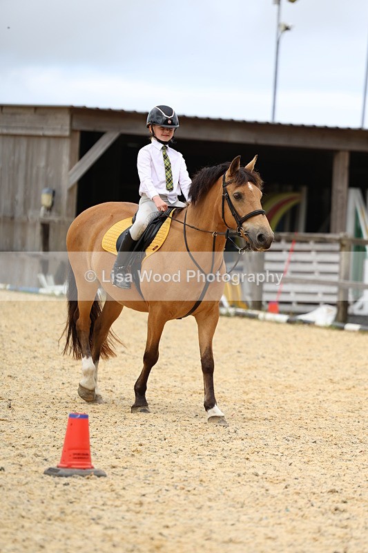 3E7A9319 - Walk trot run