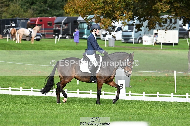 251023A-105817-02649 - G-511-Clara.Tuke