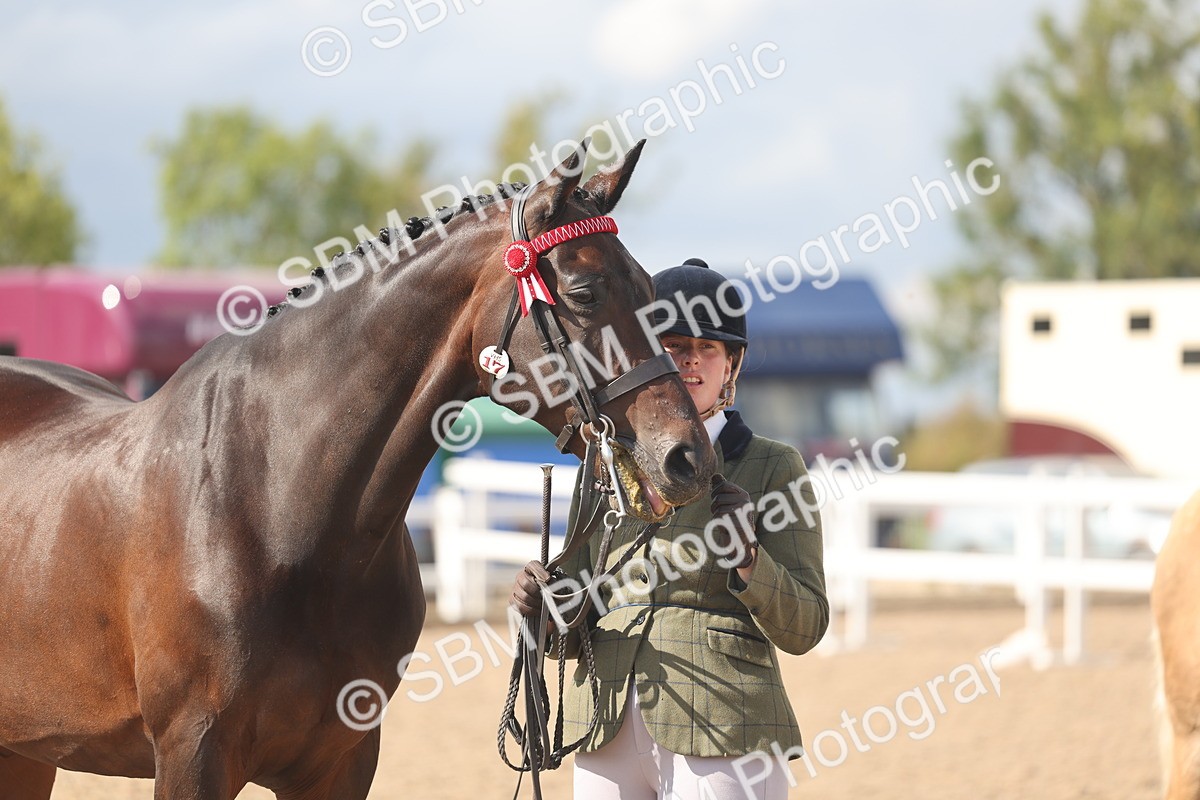 SBM_06862 - Class 25 - IH Foreign Breeds - Purebred