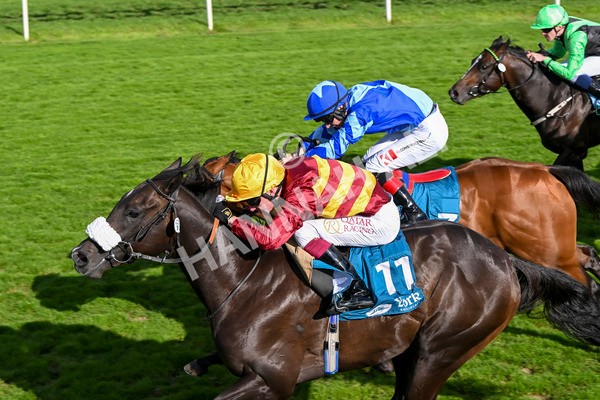 240824-Race 6-Tropical Storm-1863 - Race 6 4.45pm Julia Graves Roses Stakes