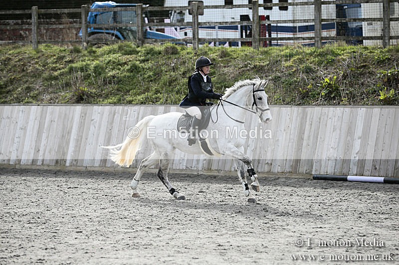 BVRC SJ 170319 715 - Bourne Valley Riding Club Showjumping 17/03/19