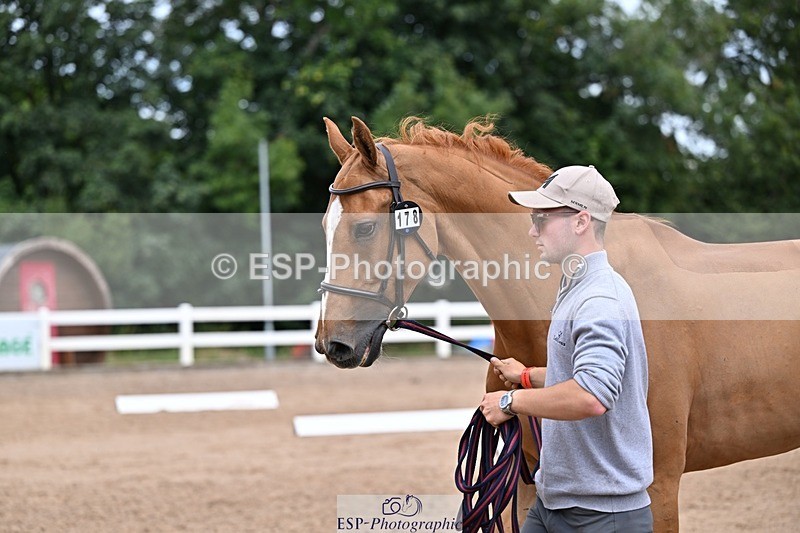 250716-133119-00560 - Trot Up 1.30 to 2.30