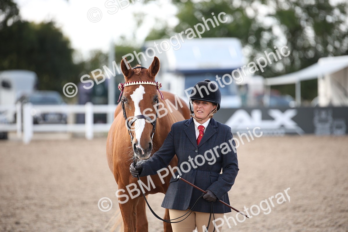SBM_07124 - Class 25 IH Foreign Breeds- Pure bred
