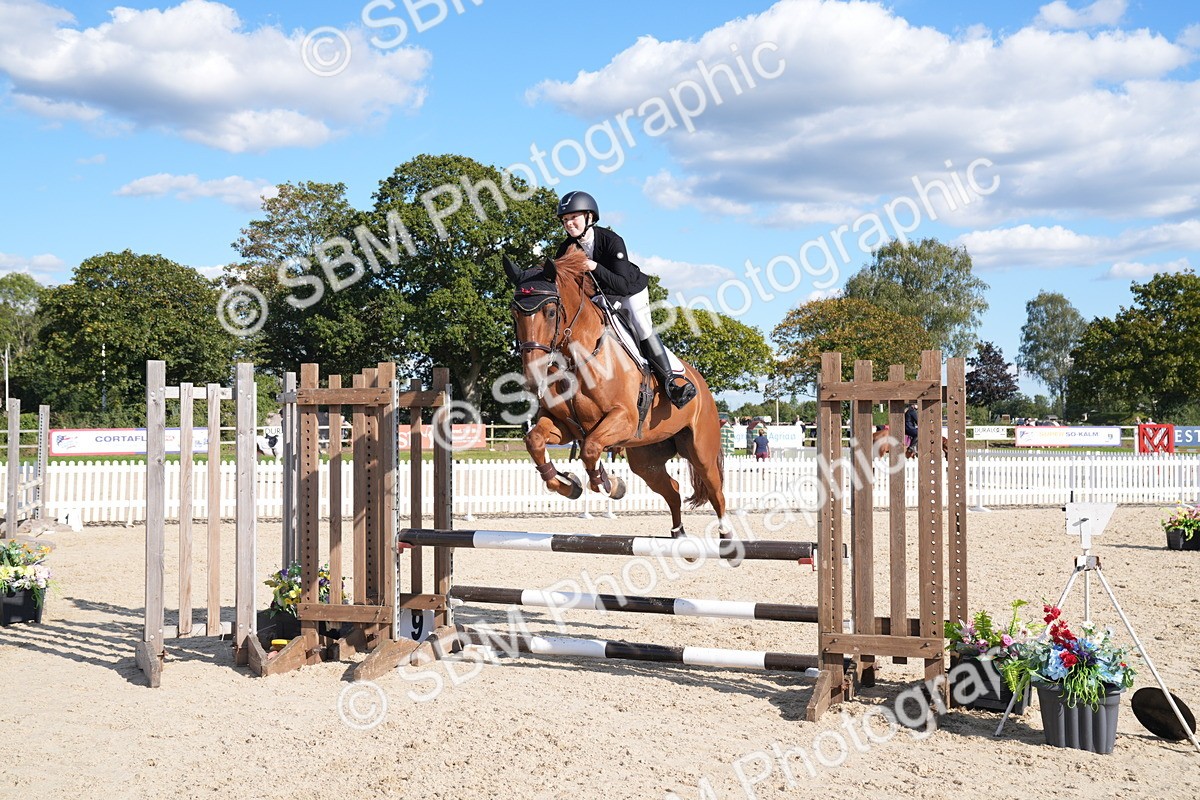 SBM_26087_J61 - Clear Round - 75cm 85cm - Holly