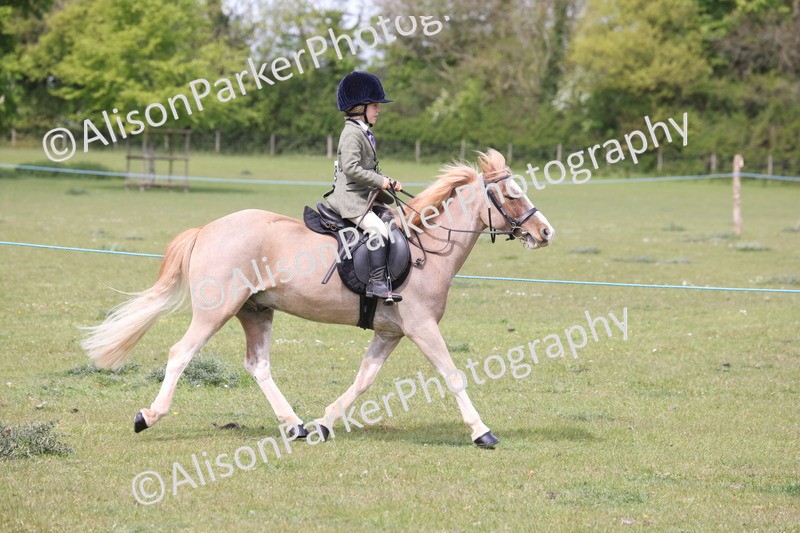 20260426-2944 - Class 33 - Best Pony 14.2hh and Under