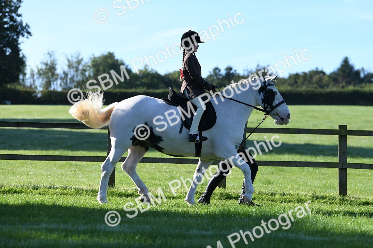 SBM_35317 - S17 - Condition & Turnout - Lead Rein