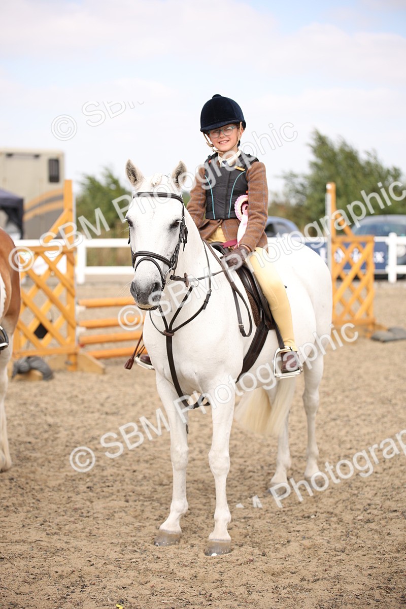 SBM_14378 - Class 407b - Working Veteran 60cm (20+)