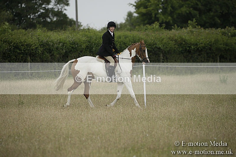 B230619-0204 - Bourne Valley Riding Club Summer Show 23/06/19