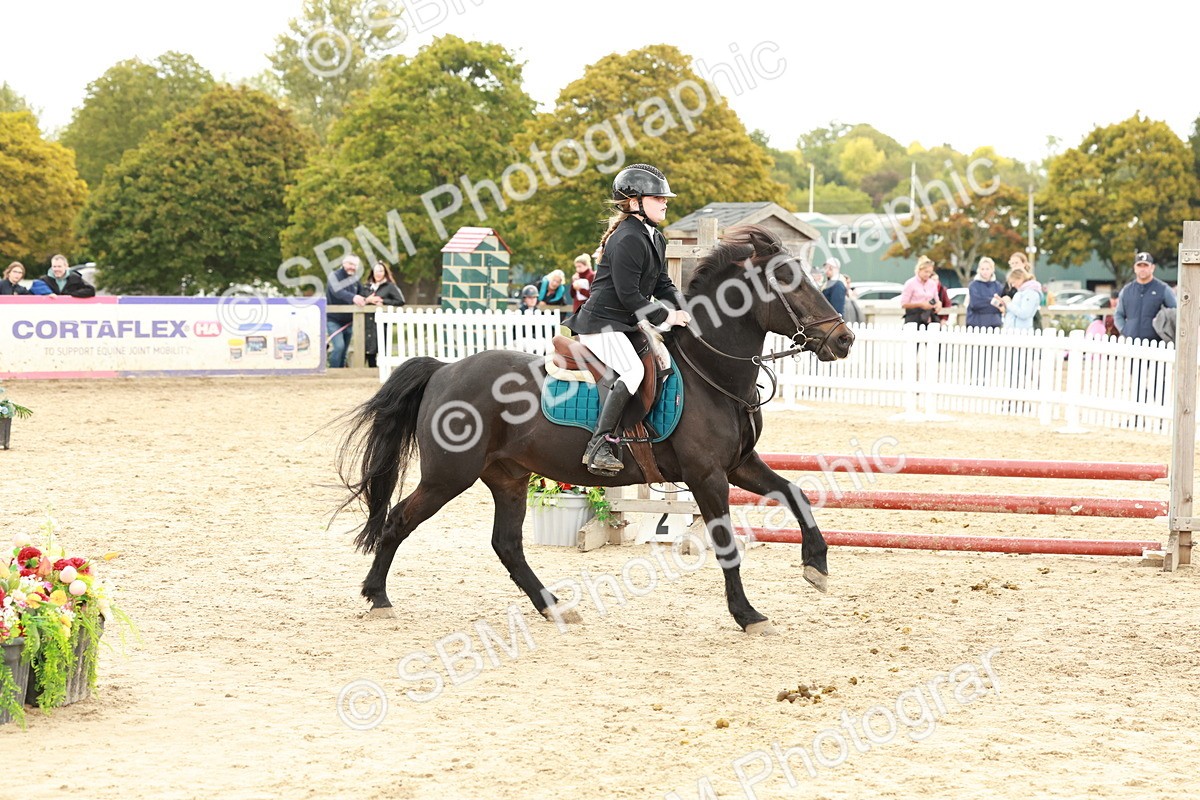 SBM_63566 - J12 - Junior Pony 55cm Championship