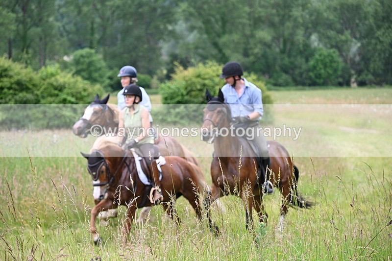 WJ6_8462 - Camera 1 Gallops