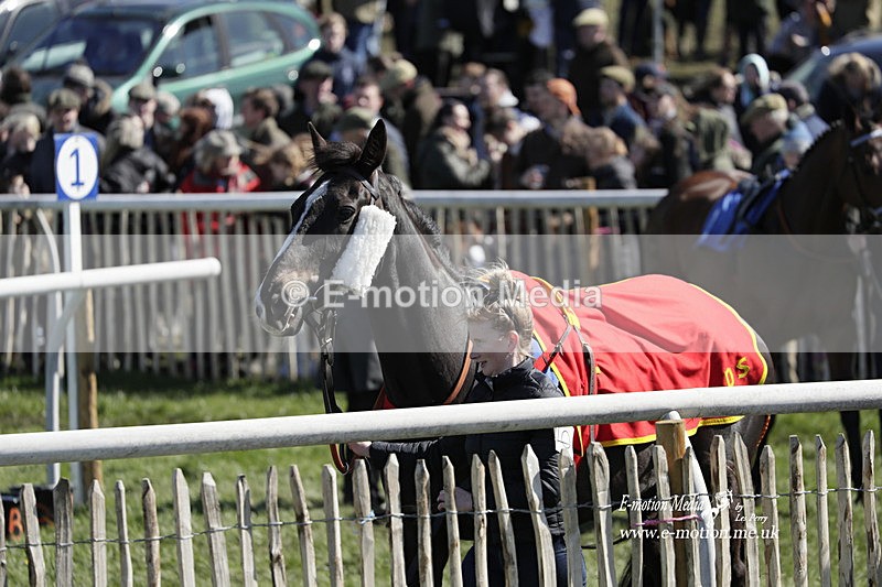 PtP 100423 558 - Old Berkshire Point-to-Point Lockinge 10/04/23