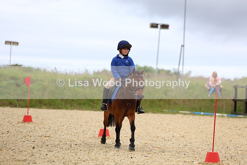 3E7A9431 - Walk trot run