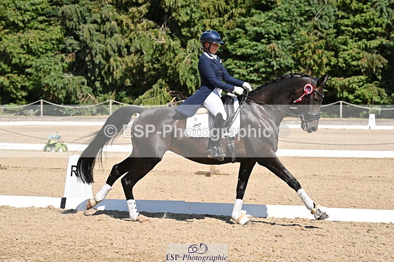 250810A-152910-08064 - Intermediate I GOLD Presentations