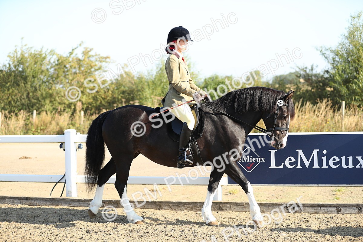 SBM_00369 - Class 41 Best Turned Out Ridden