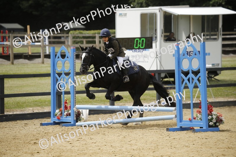 20250622-4692 - 50cm