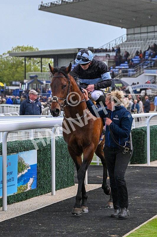 120526-Race 2-Ronson-7558 - Race 2 3.00pm Ire-Incentive, It Pays To Buy Irish