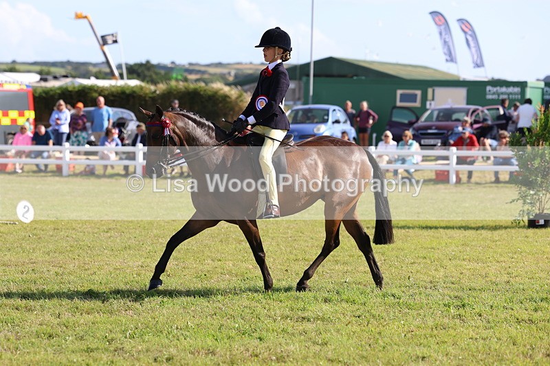 3E7A4043 - Supreme Championship