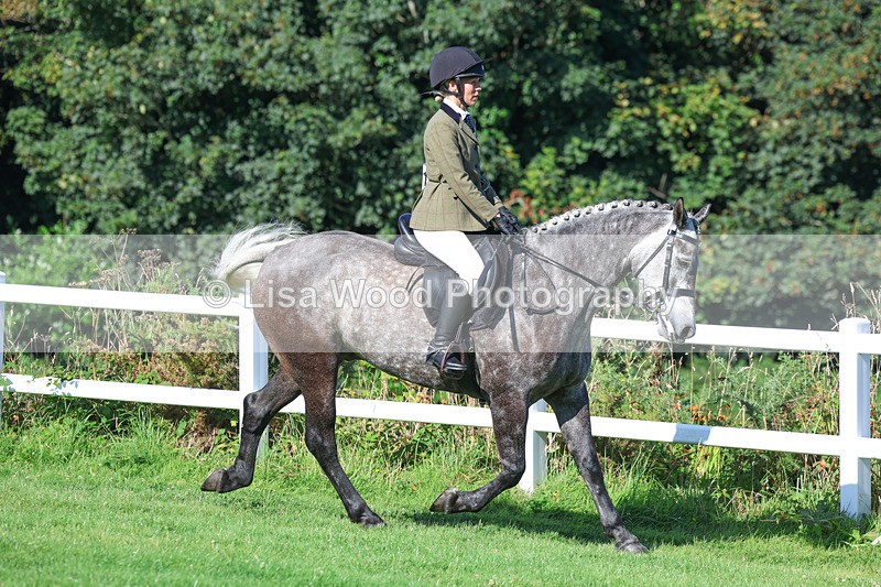 3E7A7822 - Class 2: Open Working Hunter pony