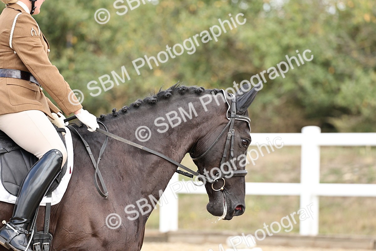 SBM_018259 - Class 16 - Novice 5 - 11.12-12.01
