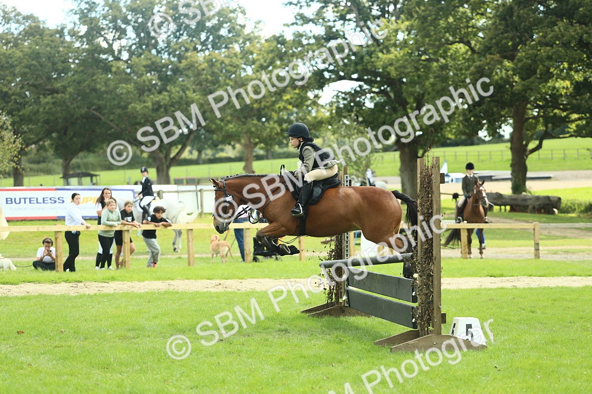 SBM_44613 - S31 - Working Hunter Pony
