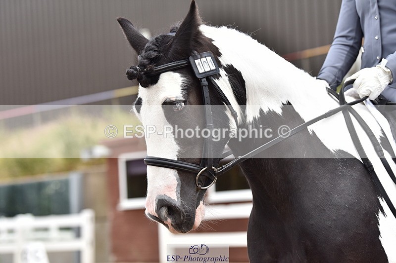 240706A-132818-02623 - Cls 4A Snr Novice 24