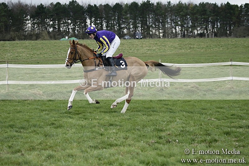 PtP 031217 347 - Hursley Hambledon Point-to-Point Larkhill 03/12/17
