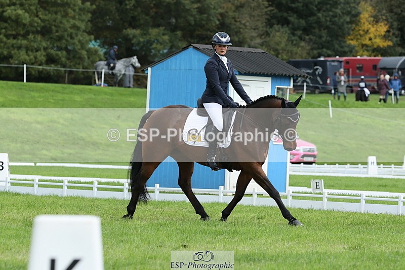 251023A-115033-03430 - E-384-Holly.Horton