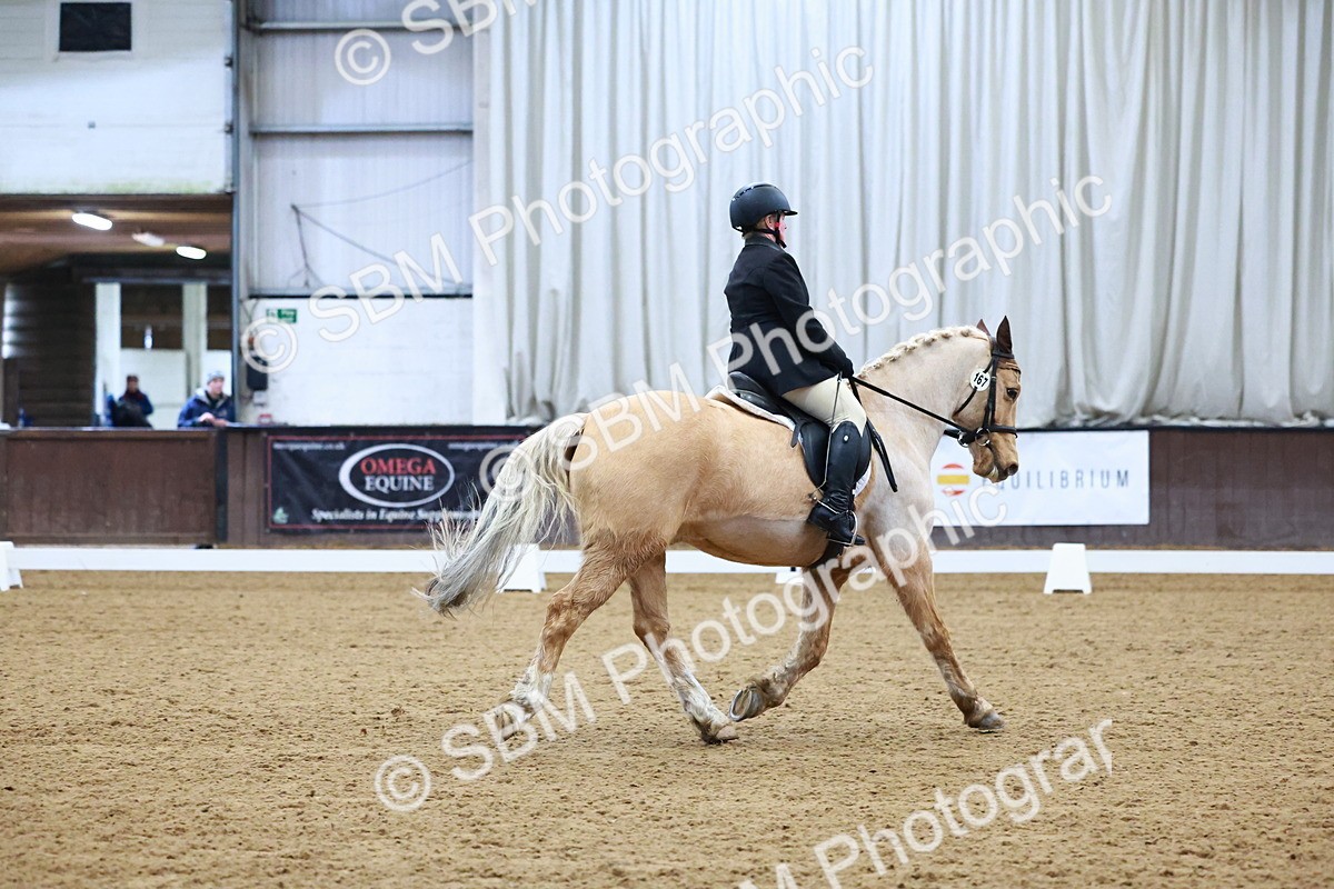 SBM_002774 - Novice Music