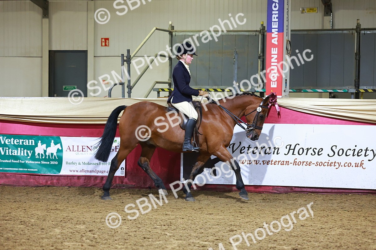 SBM_14960 - Class M - Equitation Champ