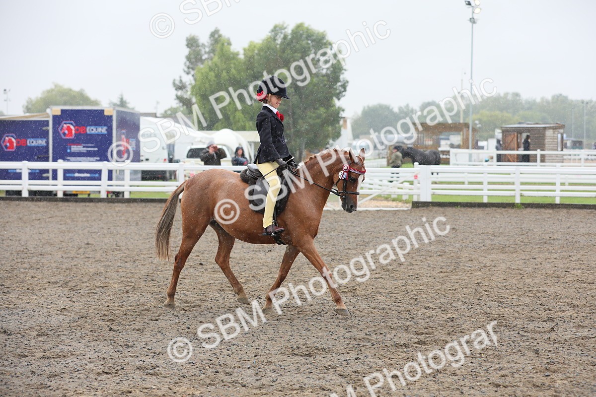 SBM_20614 - Class 804 - Ridden Veteran Pony